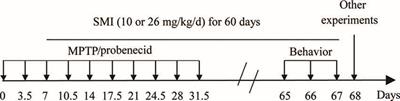 Smilagenin Protects Dopaminergic Neurons in Chronic MPTP/Probenecid—Lesioned Parkinson’s Disease Models